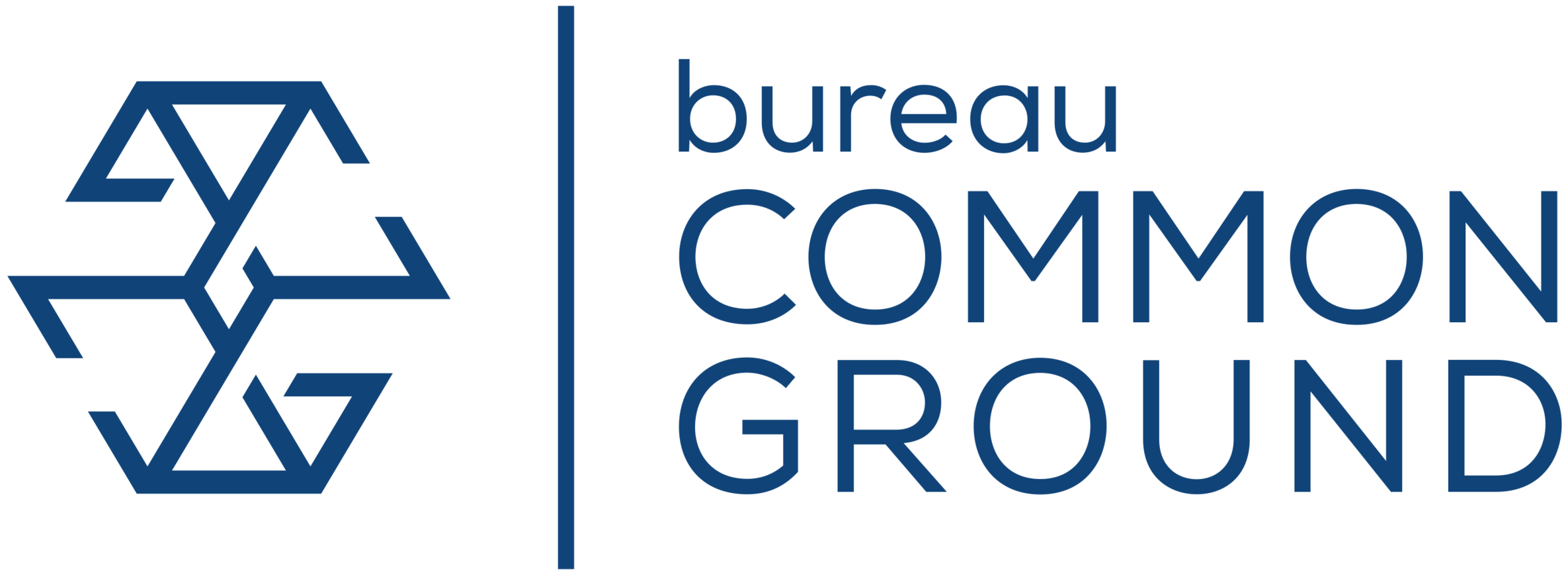 bureau common ground, burgerschapsonderwijs