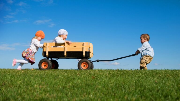 bureau common ground, burgerschapsonderwijs