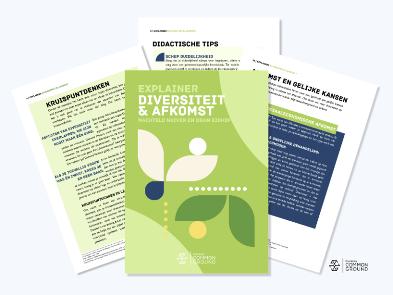 visual explainer diversiteit ien afkomst