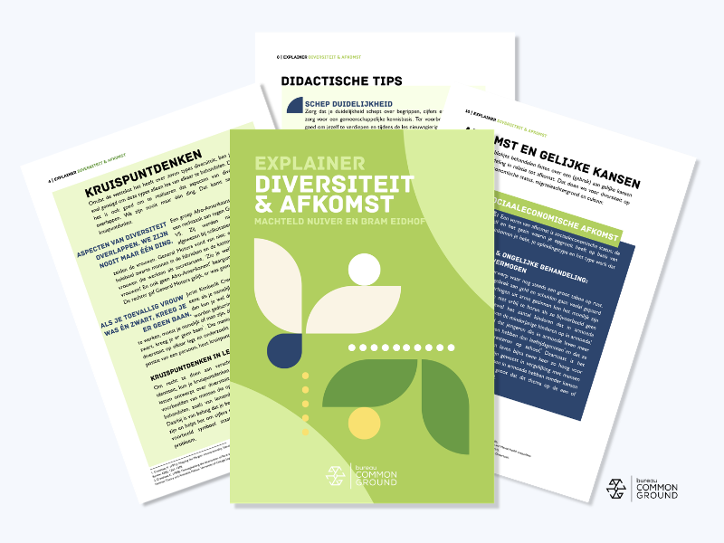 visual explainer diversiteit ien afkomst